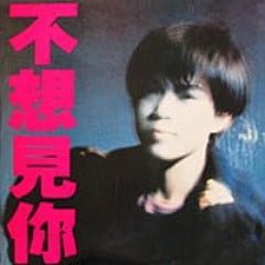 何嘉麗 - 不想見你