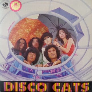 The Wild Cats - Disco Cats