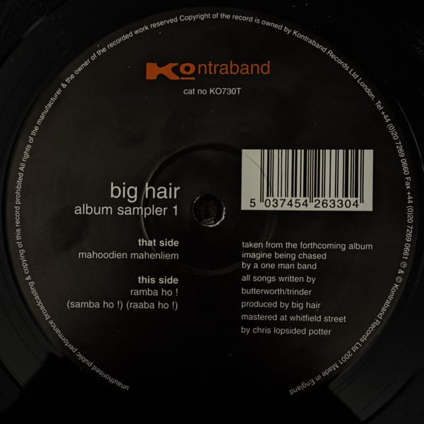 Big Hair - Album Sampler 1
