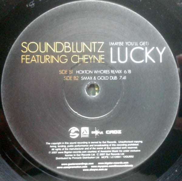 The Sound Bluntz Featuring Cheyne Coates - (Maybe You'll Get) Lucky - Image 4